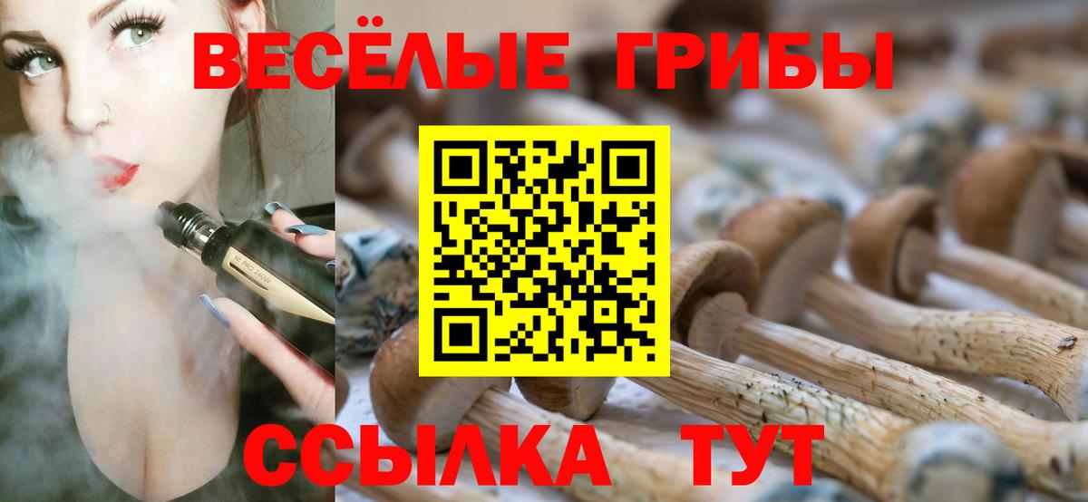 Псилоцибиновые грибы Psilocybine cubensis Бузулук