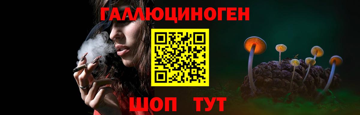 Галлюциногенные грибы GOLDEN TEACHER  Вход с VPN  купить наркотики сайты  Бузулук 